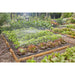Gardena Micro-Drip-Irrigation Vegetable or Flower Bed-northXsouth Ireland