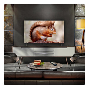 LG 65" B5 OLED Smart TV OLED65B56LA